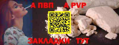 кокс Гатчина