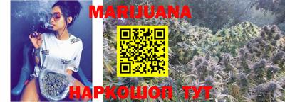 кокс Гатчина