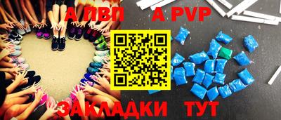 кокс Гатчина